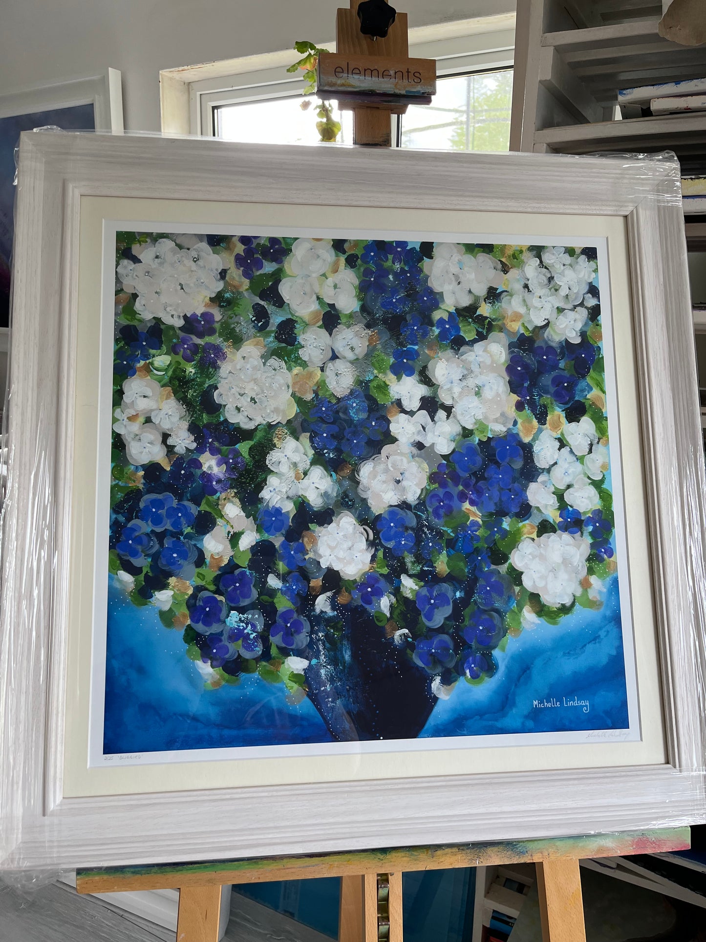 Bluebird Hydrangea